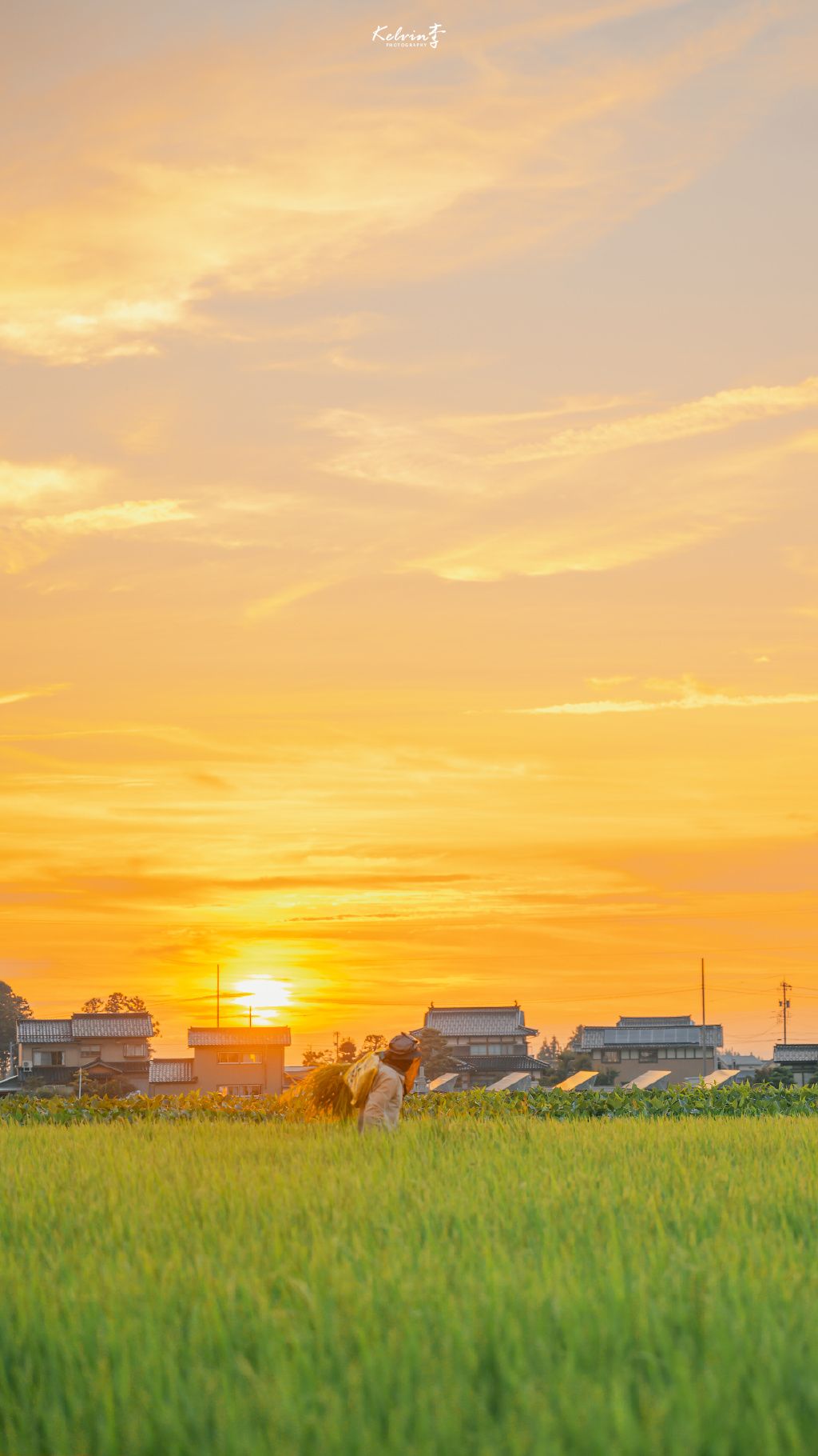 Bầu trời lấp lánh